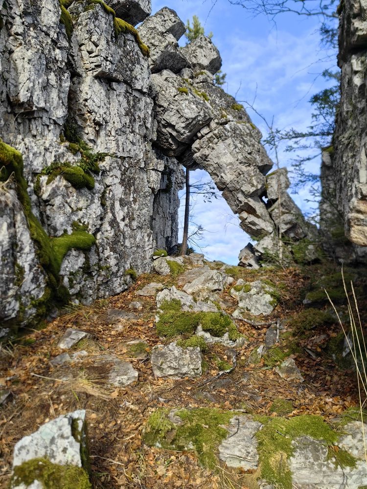 Photograph by Ольга Рыбалова