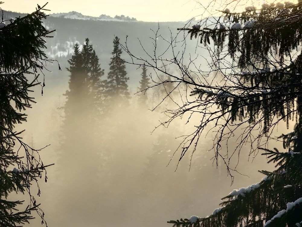 Photograph by Ольга Рыбалова