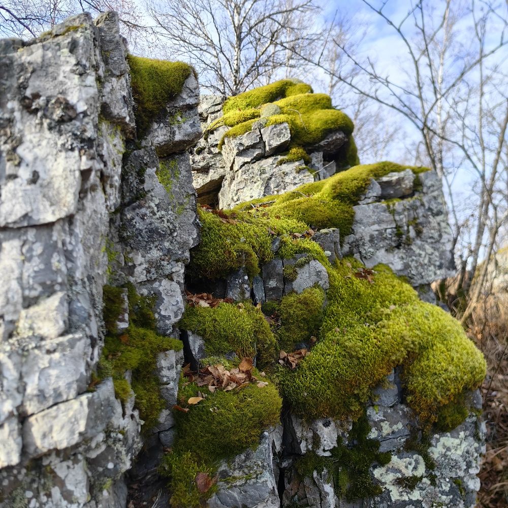 Photograph by Ольга Рыбалова