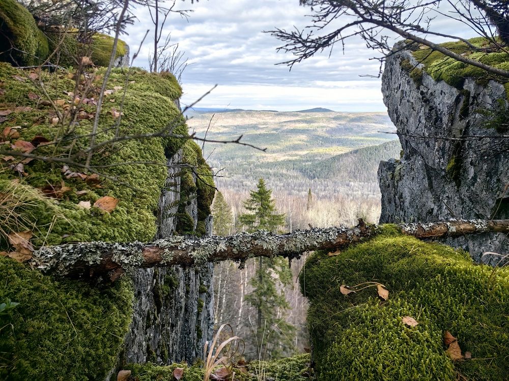 Photograph by Ольга Рыбалова