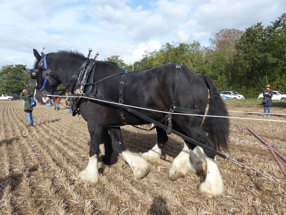 Photograph by Isabella Northrop