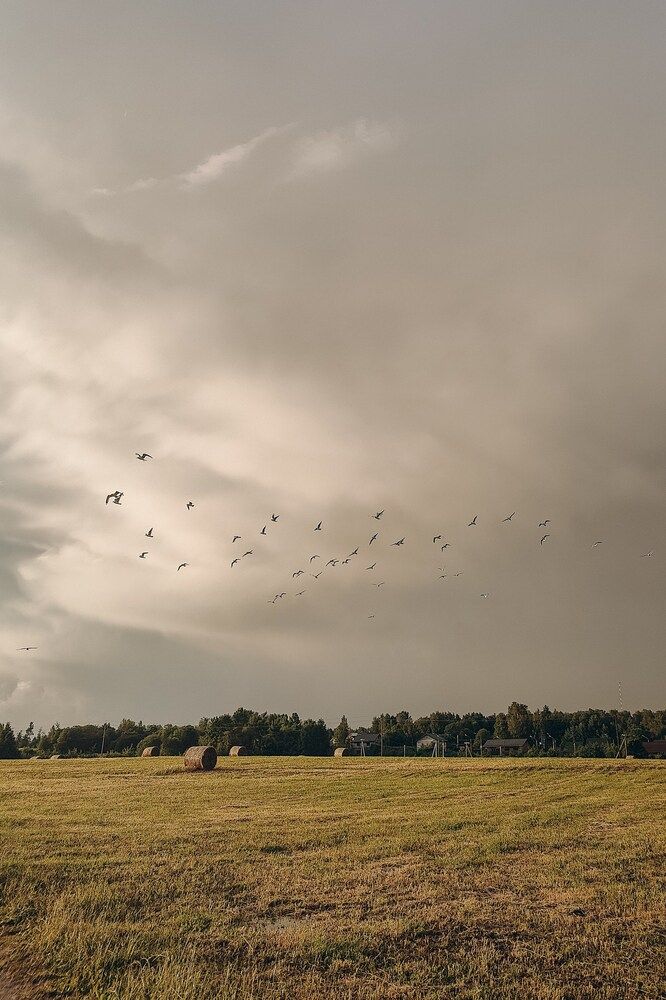 Photograph by Ольга Леонова