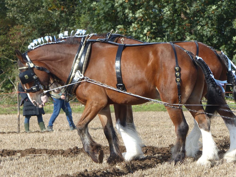 Photograph by Isabella Northrop