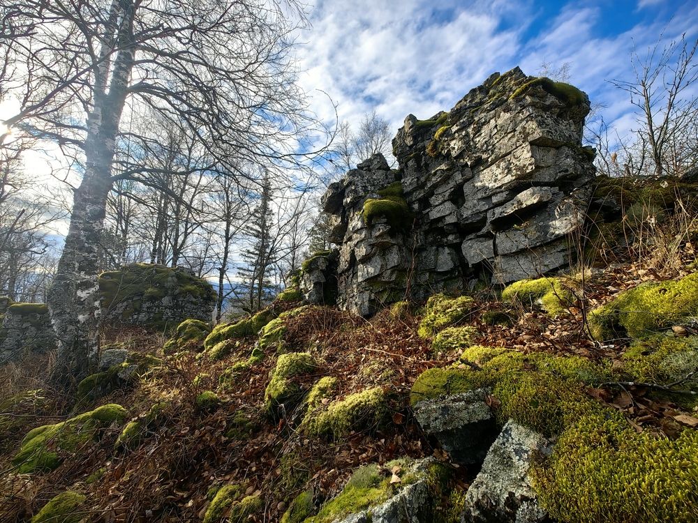 Photograph by Ольга Рыбалова