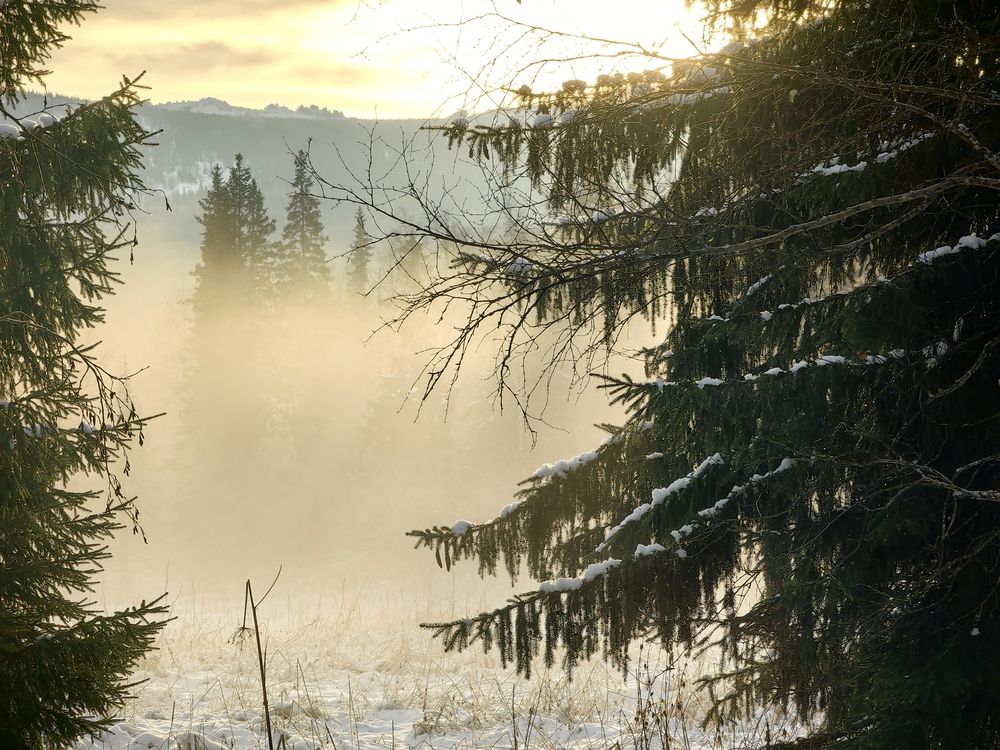 Photograph by Ольга Рыбалова