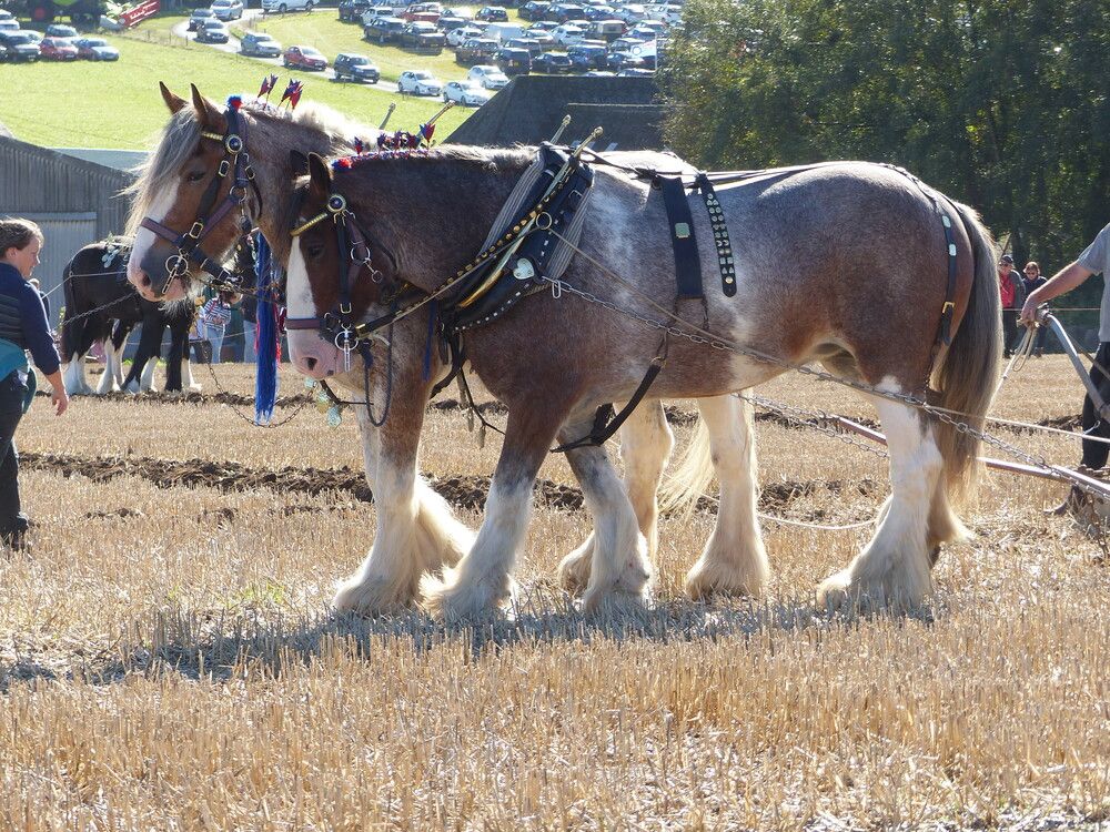 Photograph by Isabella Northrop