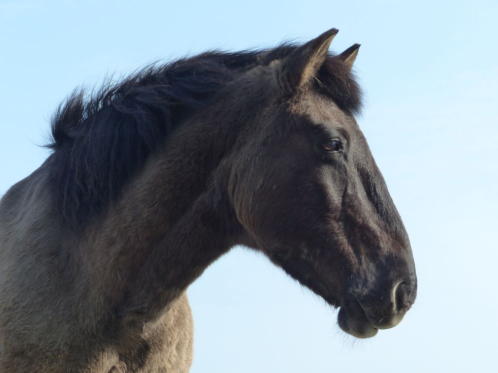 Photograph by Isabella Northrop