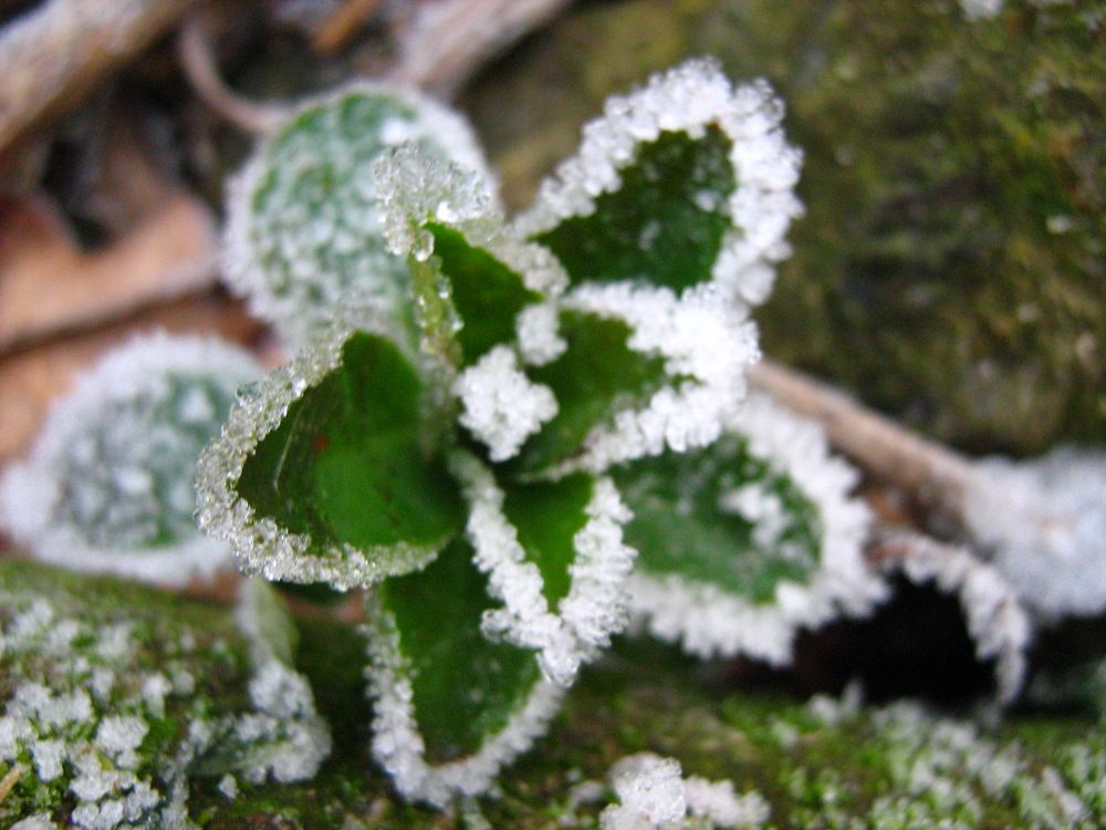 Photograph by Isabella Northrop