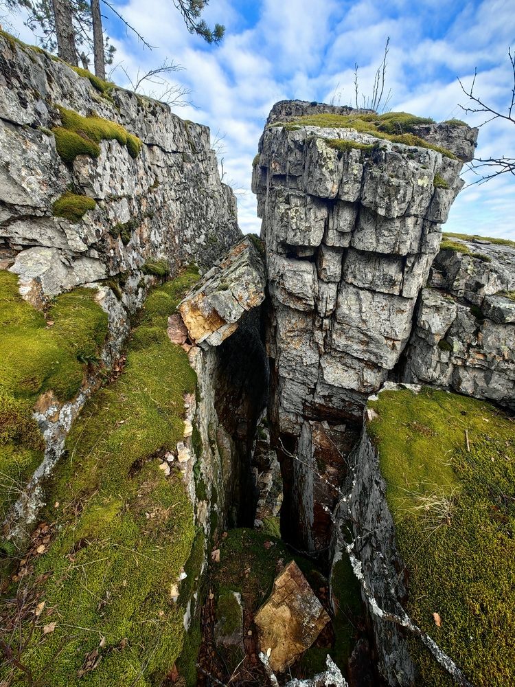 Photograph by Ольга Рыбалова