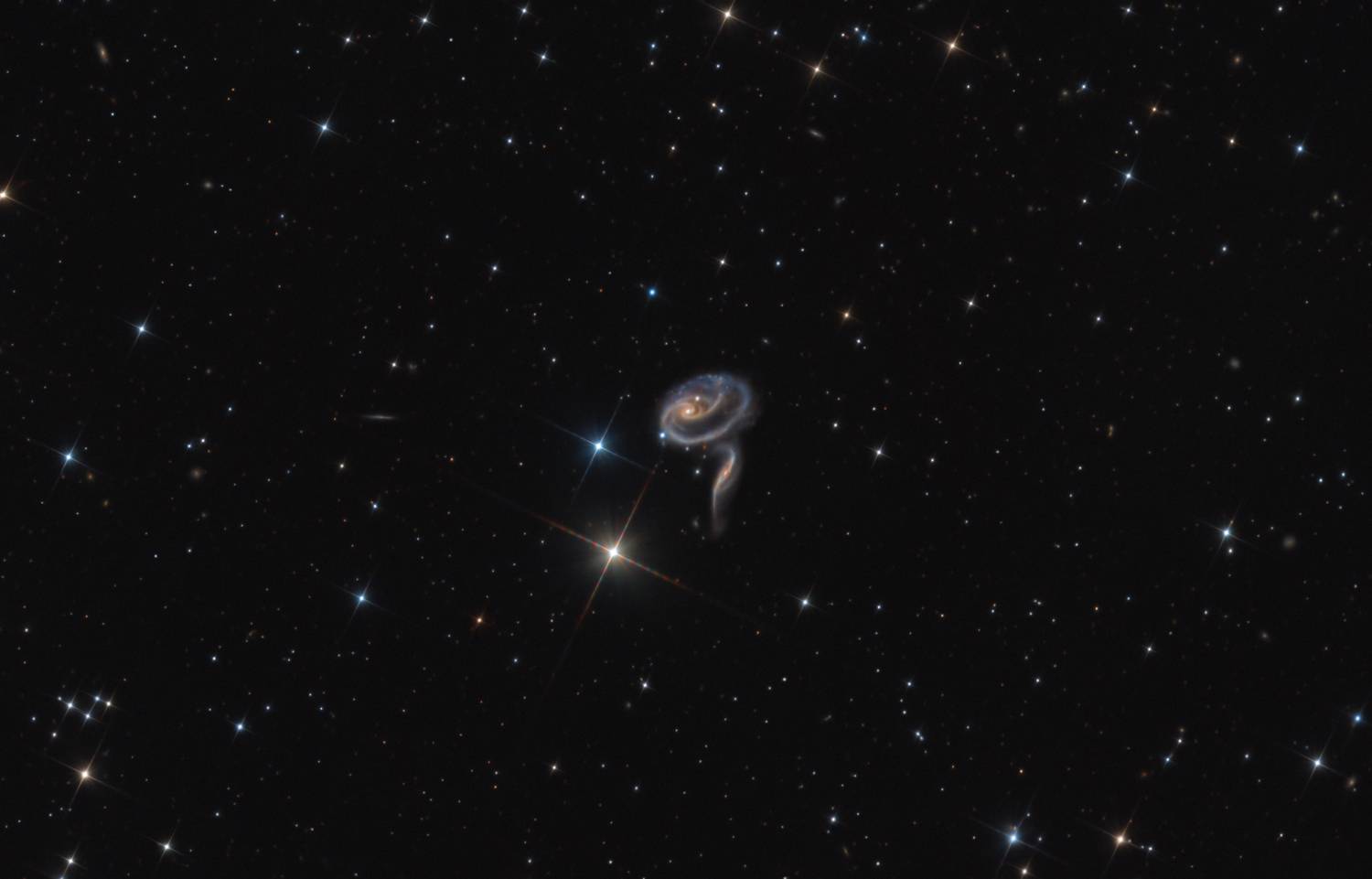 «Локон девушки»