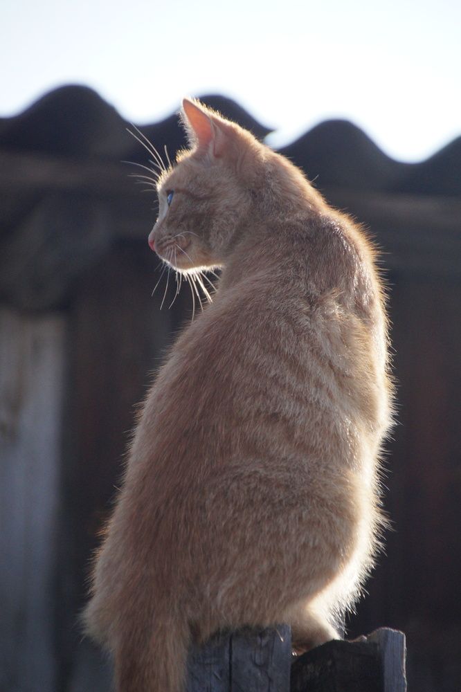 Photograph by Светлана Болтовская