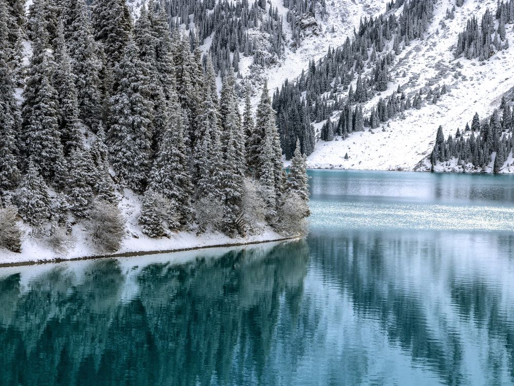 Photograph by Evgeniy Savikov