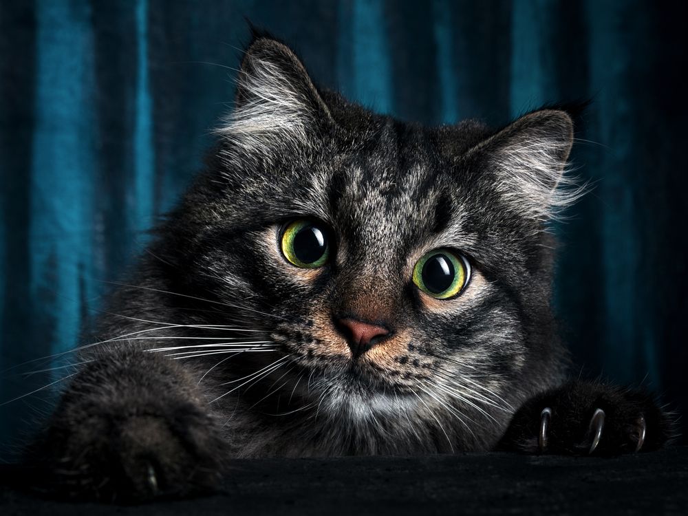Photograph by Evgeniy Savikov