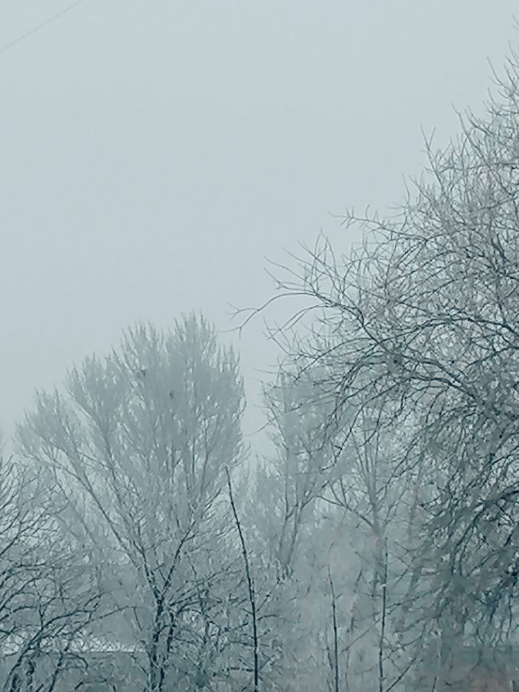 Photograph by Алексей Титков