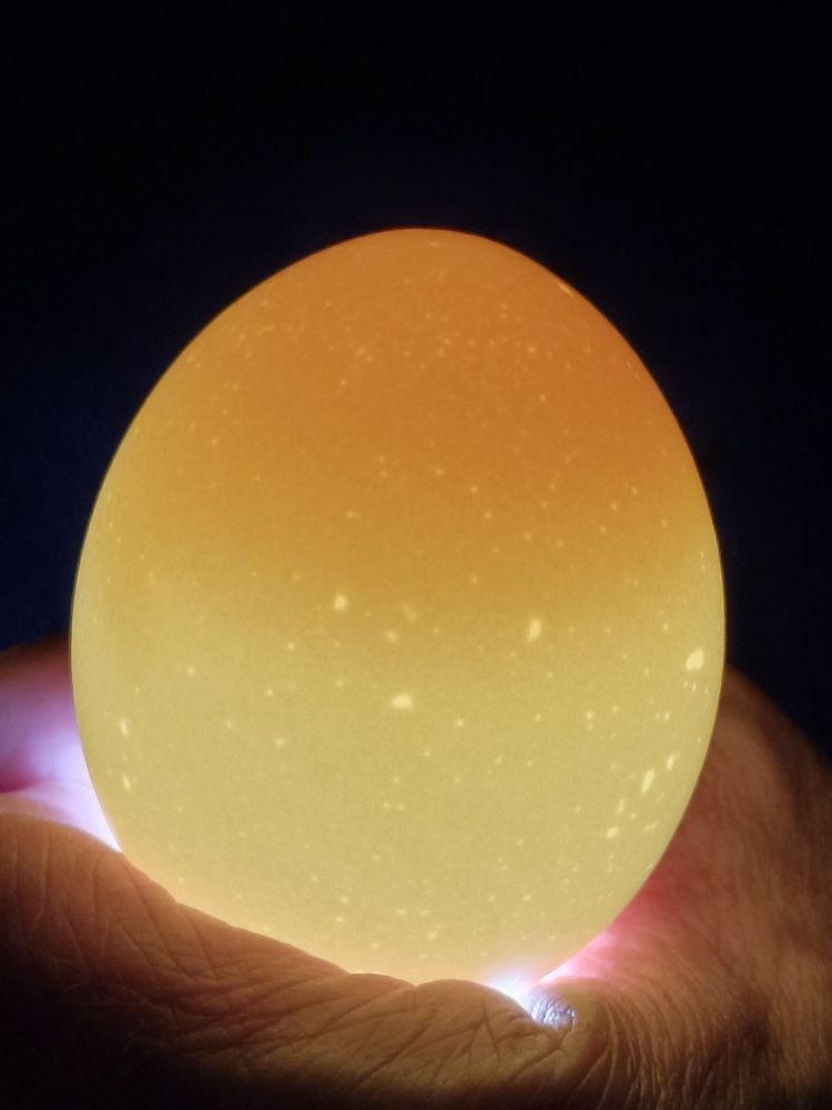 Photograph by Валентина Анюхина