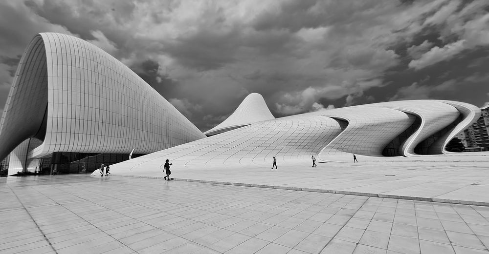 Застывшие в камне