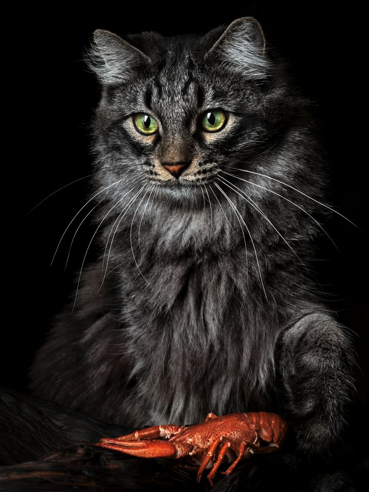 Photograph by Evgeniy Savikov