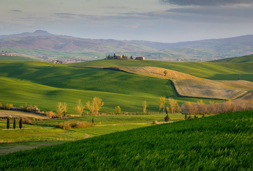 Photograph by Алекс Римский