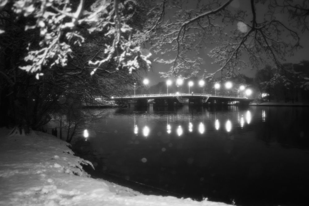 Фотография автора Alina Efimova