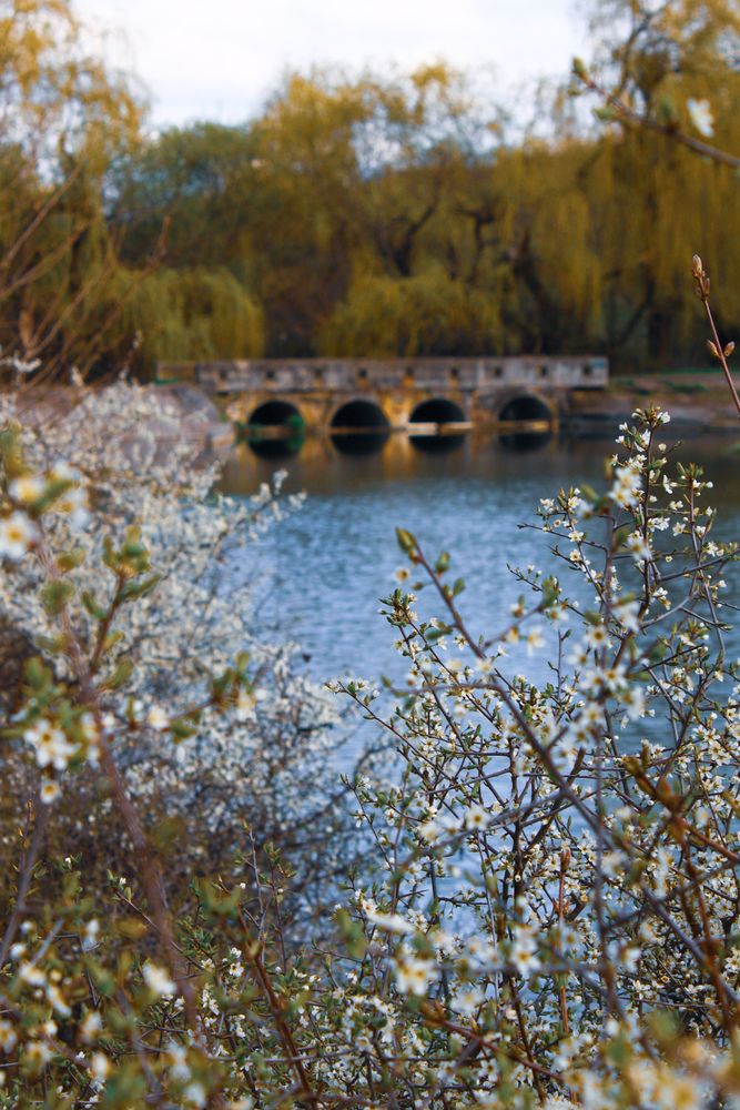 Photograph by Аня Белозерова