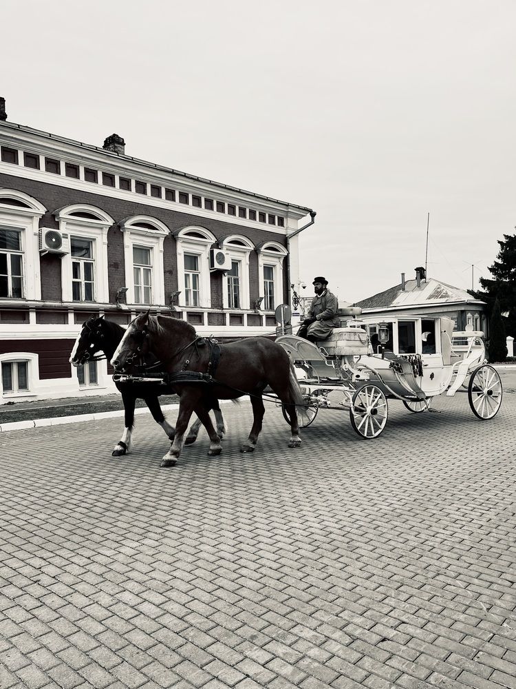 Photograph by Дарья Софронова