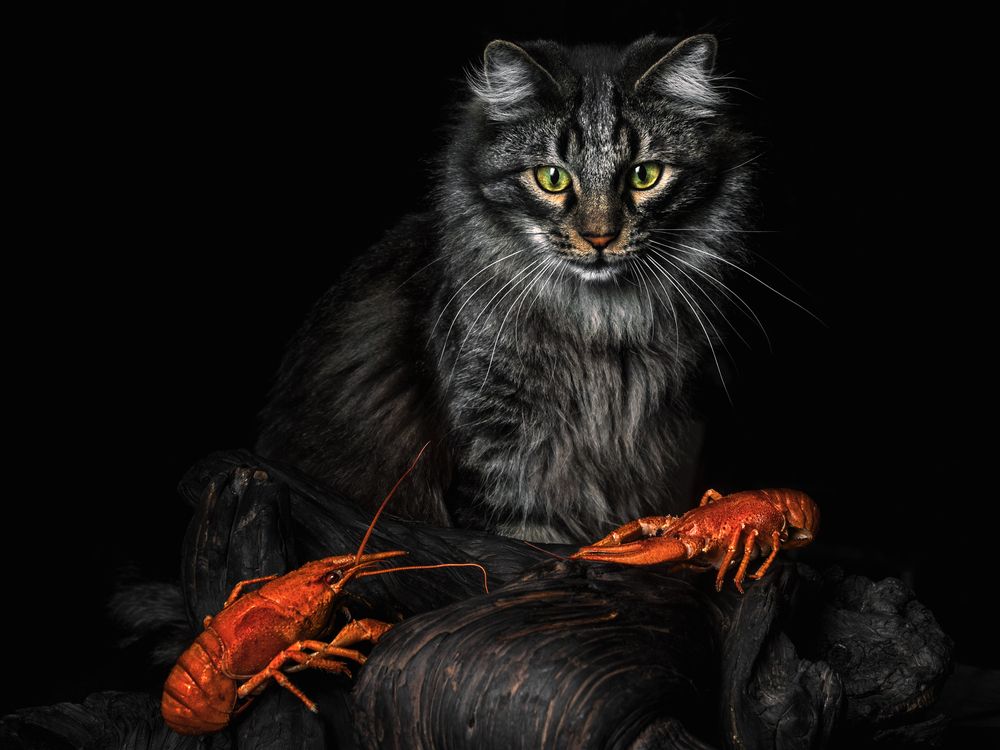 Photograph by Evgeniy Savikov