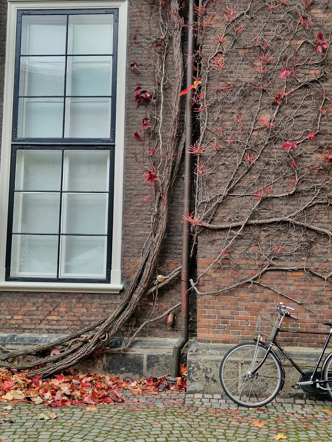 Photo #12923563