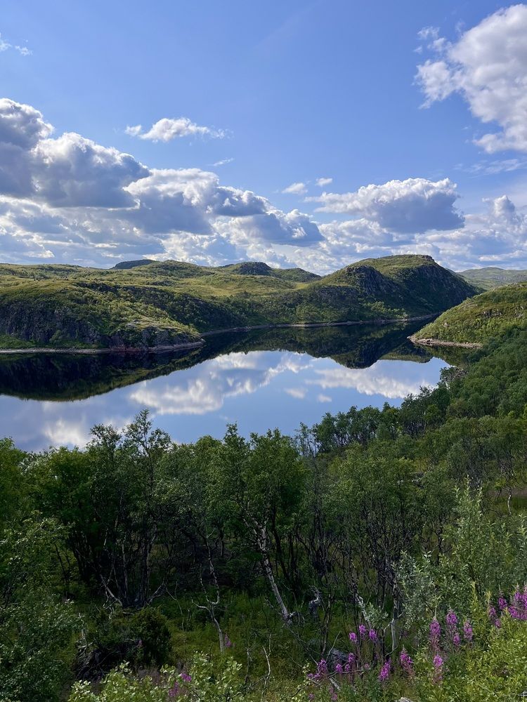 Photograph by Дарья Софронова
