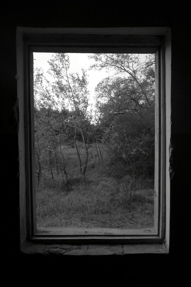 Фотография автора Татьяна Жуняк