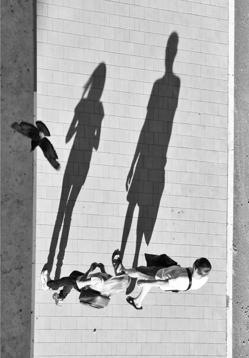 Свет играет тенями. Тени играют нами.