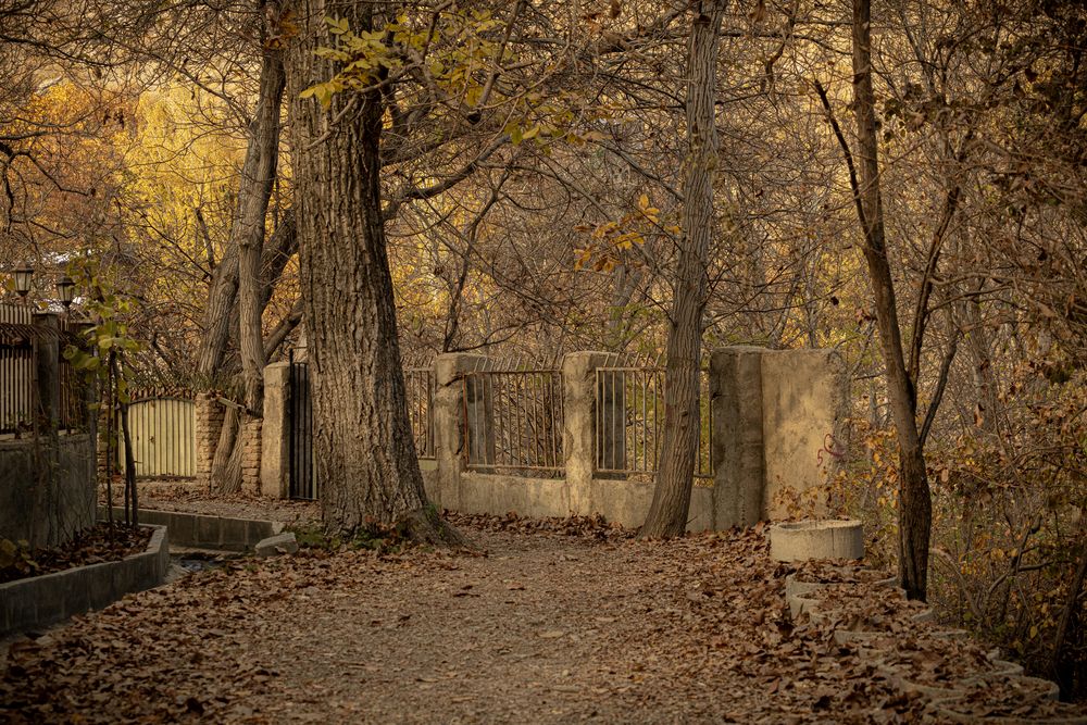 Photograph by Romina Moniri