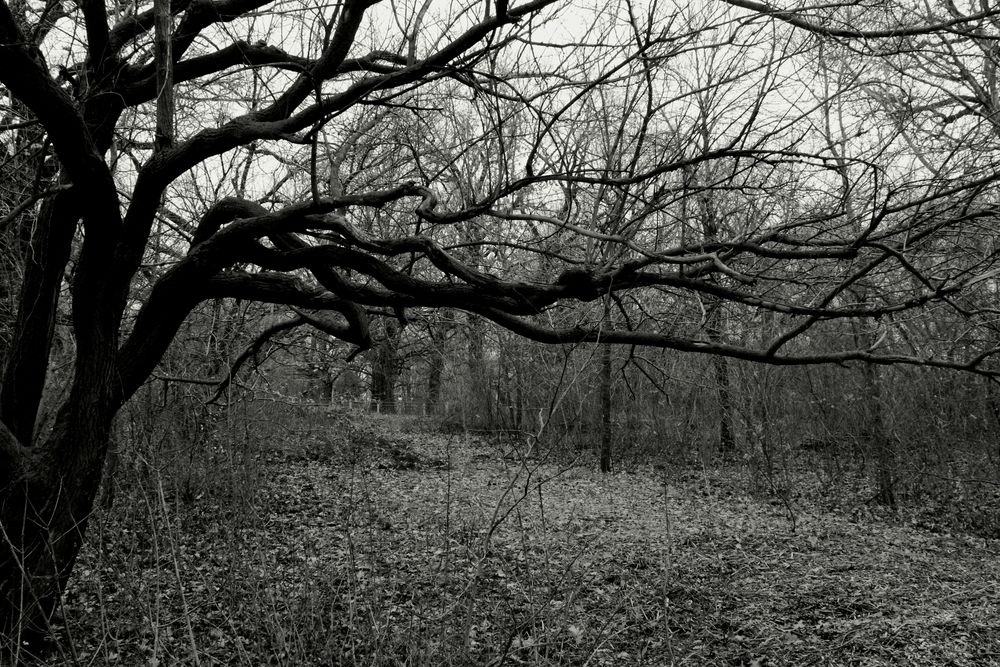 Photograph by Марина Юсупова