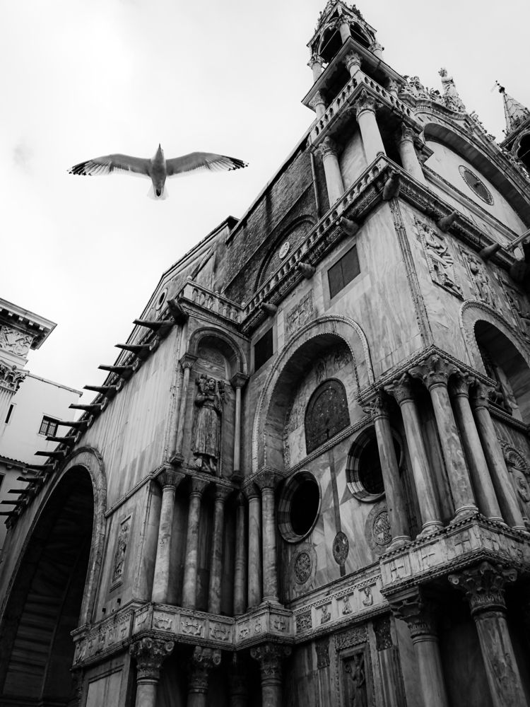 Photograph by Elizabeth Barkovskaya