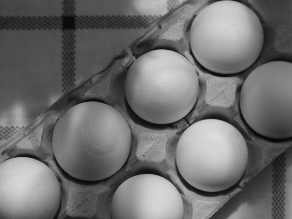 Фотография автора Елена Меньшикова