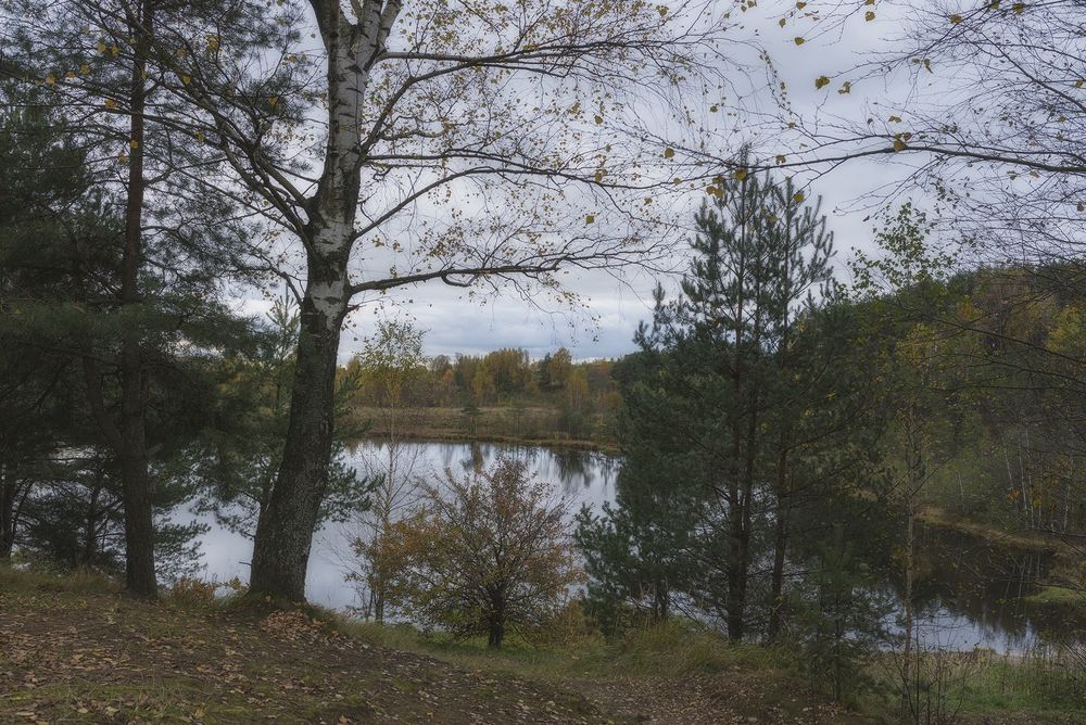 Photograph by Cергей Черныш