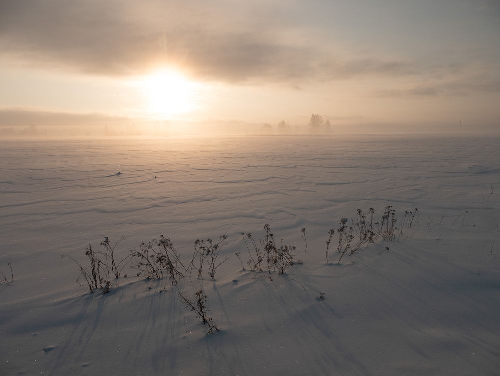 Photograph by Сергей Забиякин