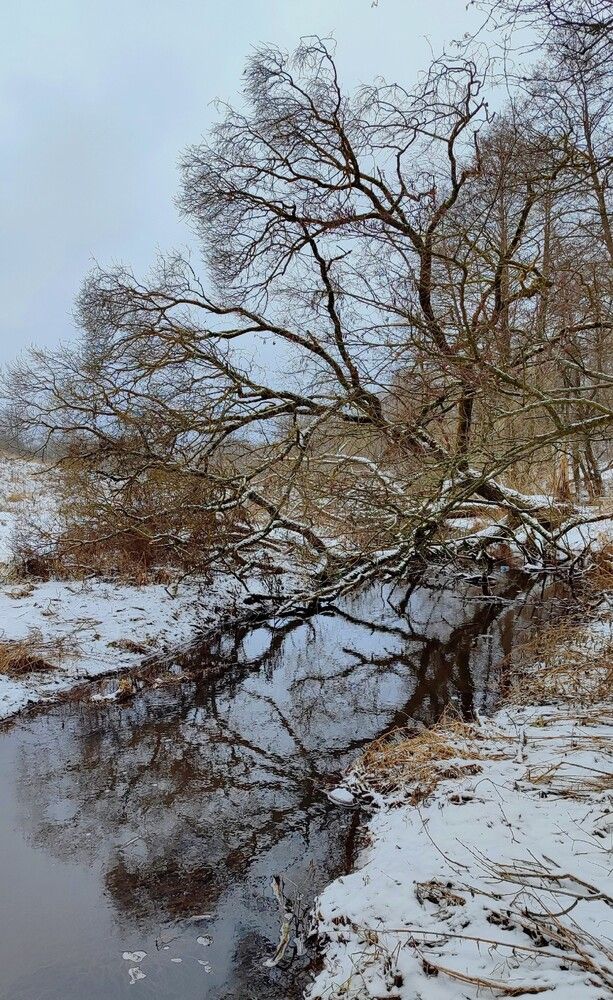 Photograph by Артём Мамонтов
