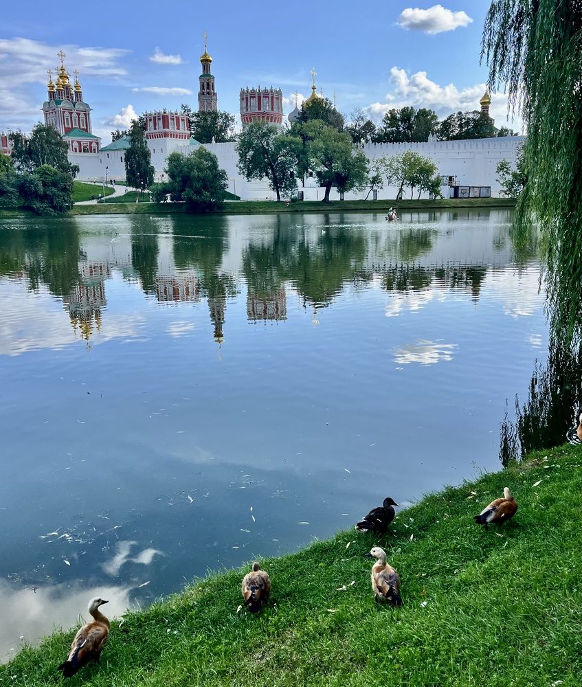 Photograph by Елена Беломестнова