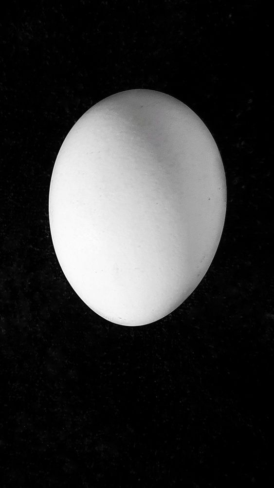 Фотография автора Марина