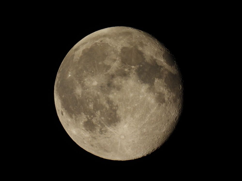 Photo #12924242