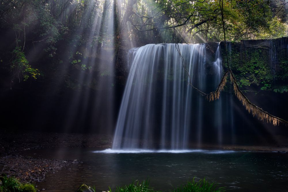 Sanctuary of Light and Water
