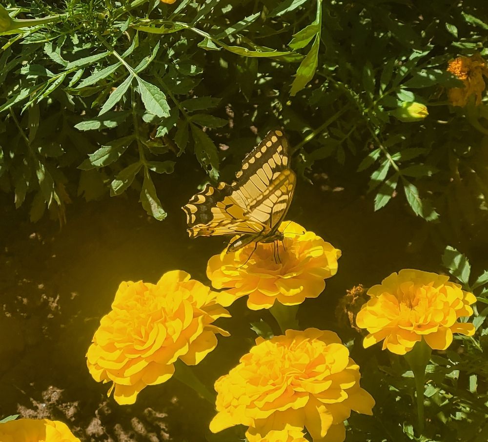 Photograph by Денис Геранькин