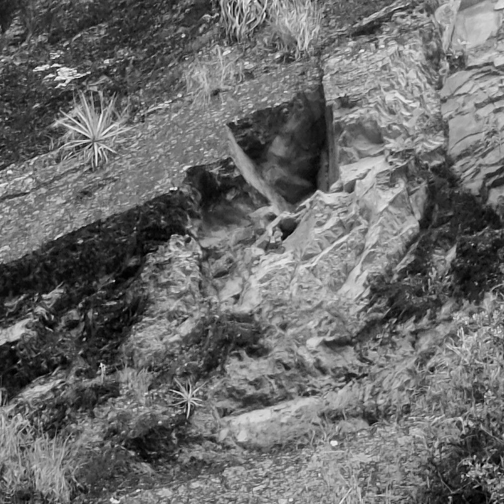 CHIMINICHAGUA CUSTIDIO DE IGUAQUE