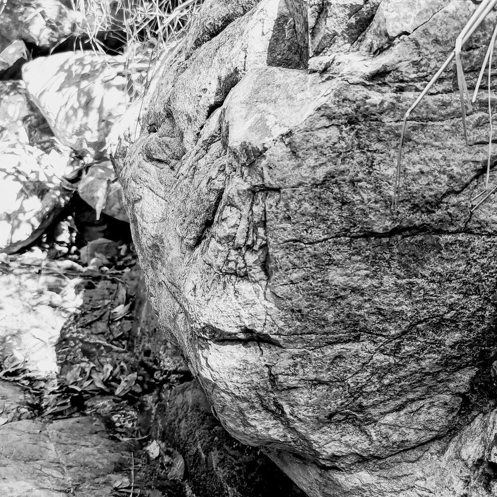 Photograph by María Claudia Salcedo