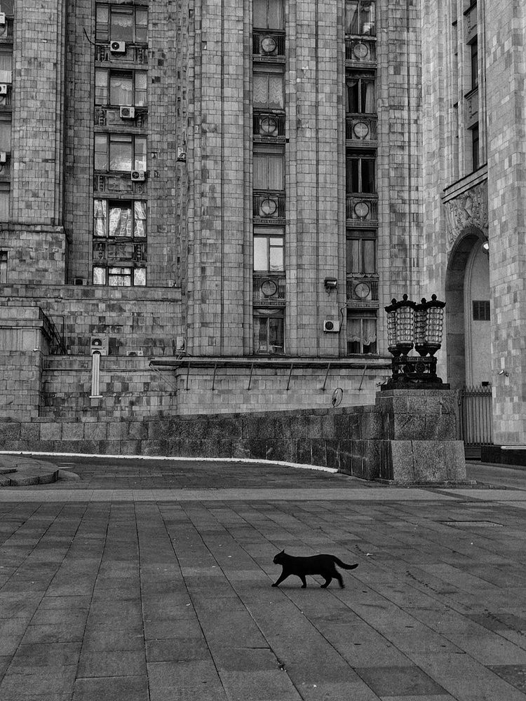 Photograph by Ольга Лукина