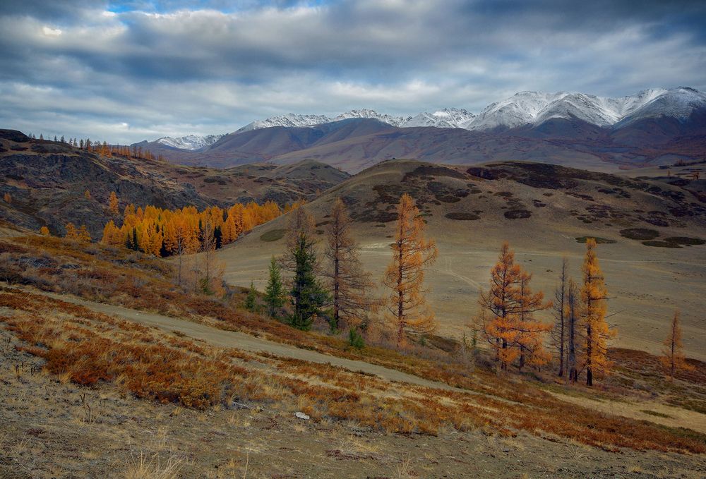 Фотография автора Чичкин Валерий