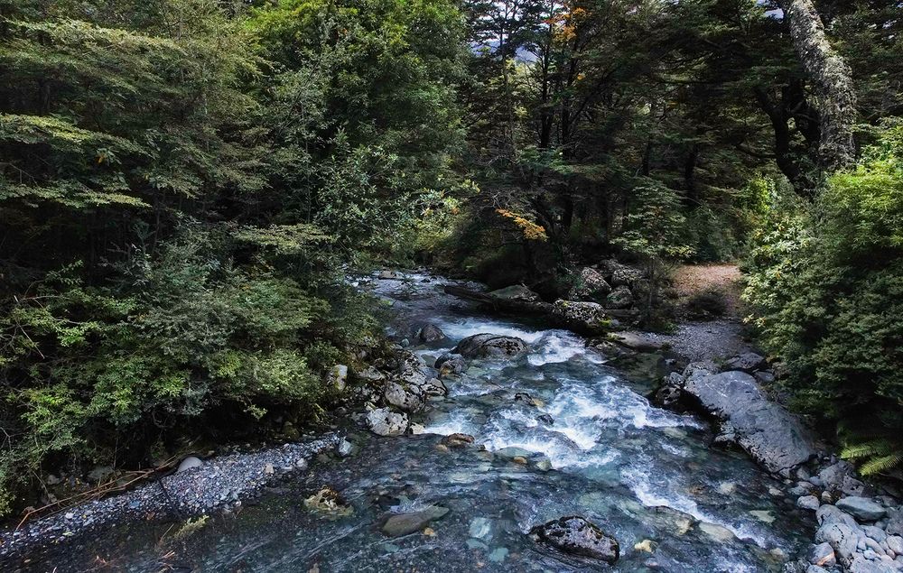 Photograph by Claudio Gutiérrez