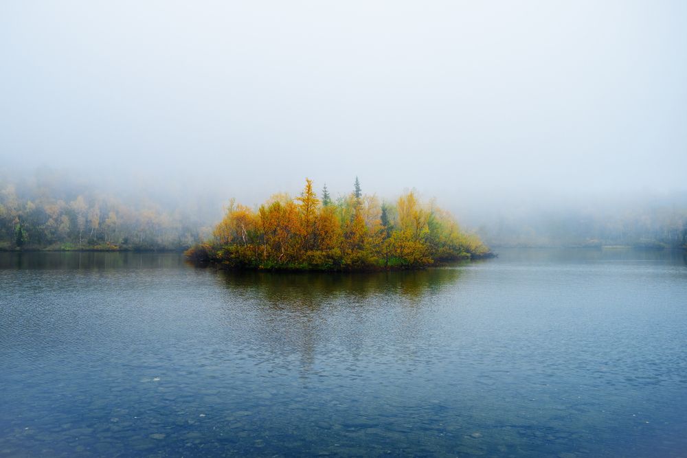Фотография автора Гуринович Дмитрий