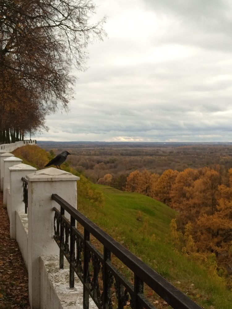 Photograph by Елена Кузина