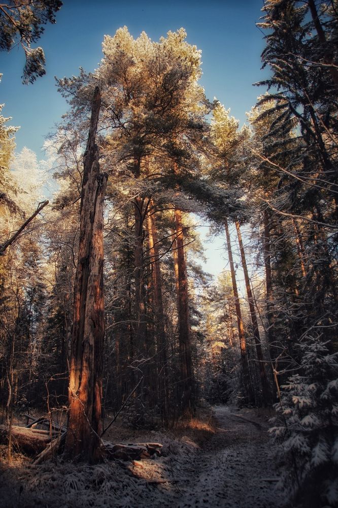 Photograph by Светлана Болтовская